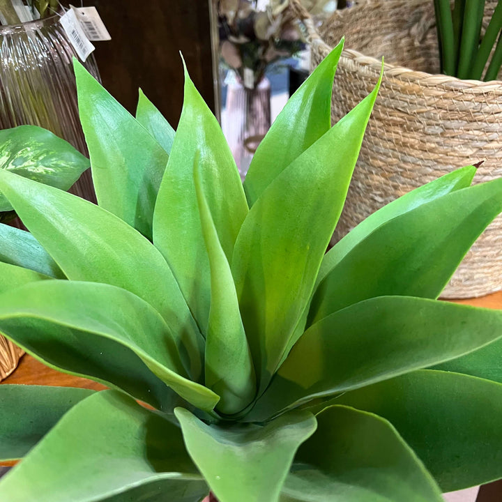 fake agave leaves