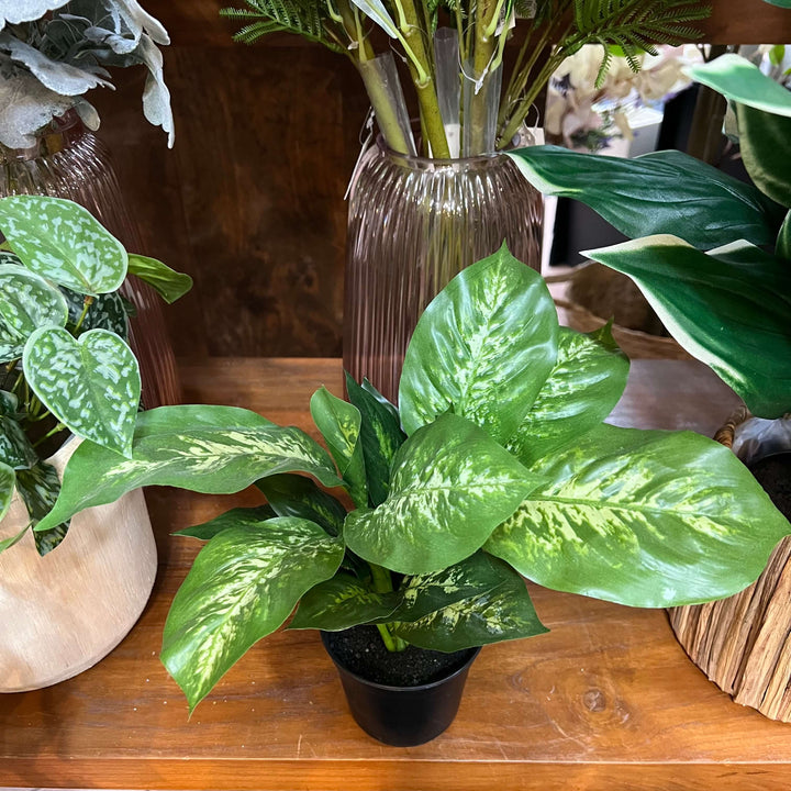 artificial cane plant in black pot