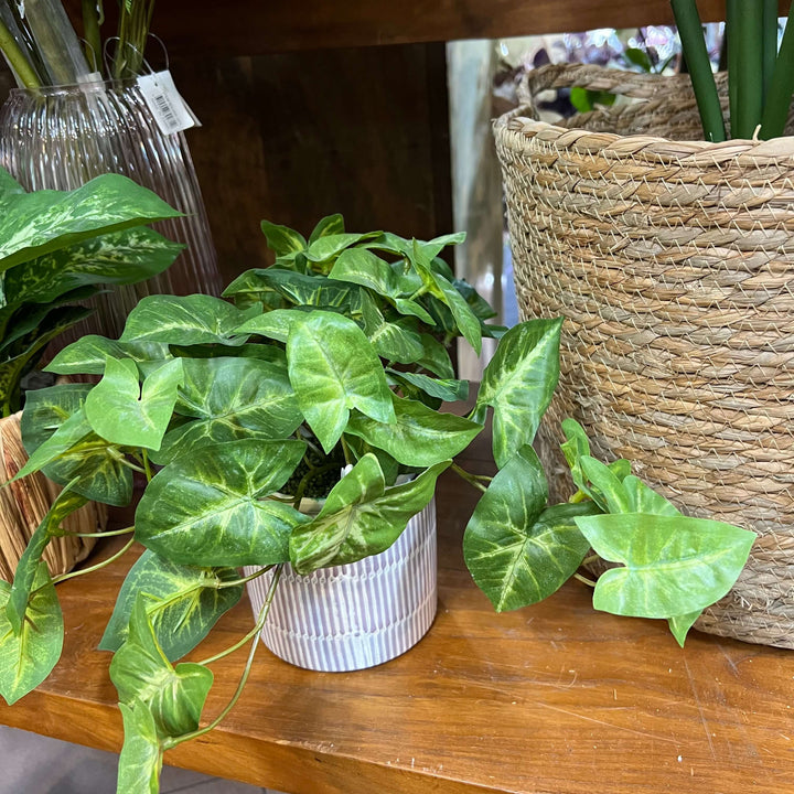 artificial hanging syngonium plant