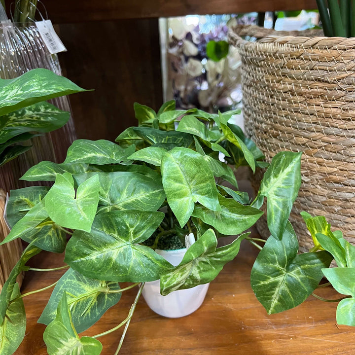 artificial syngonium leaves