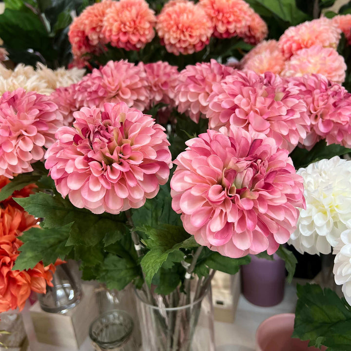 bunch of dahlia flowers