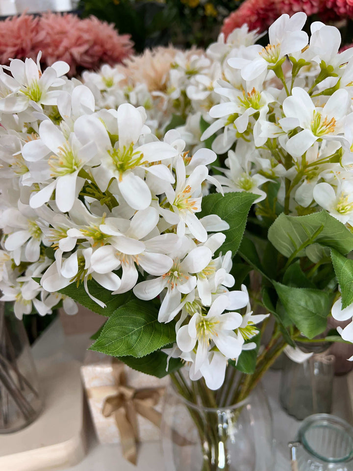 bunch of lilac flowers