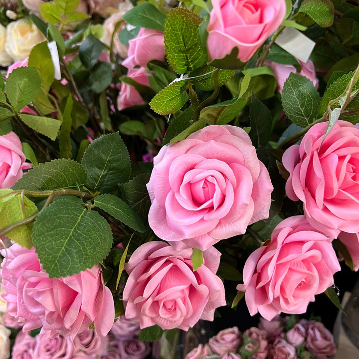 bunch of pink roses