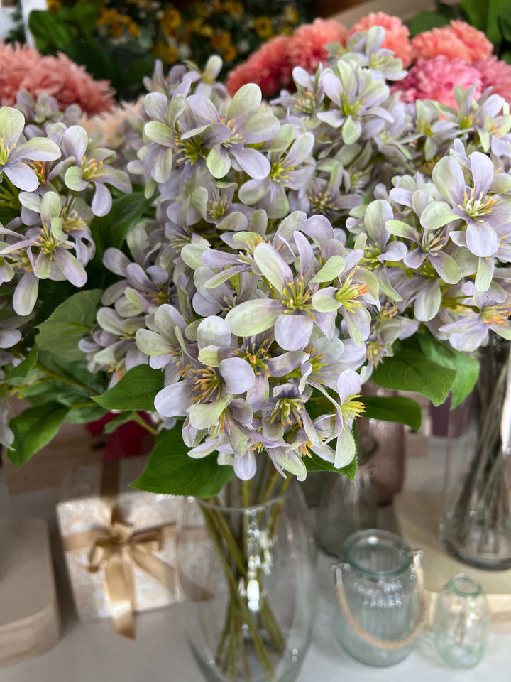 close up lilac flowers