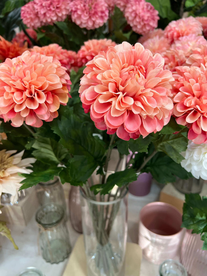 dahlia flower stems