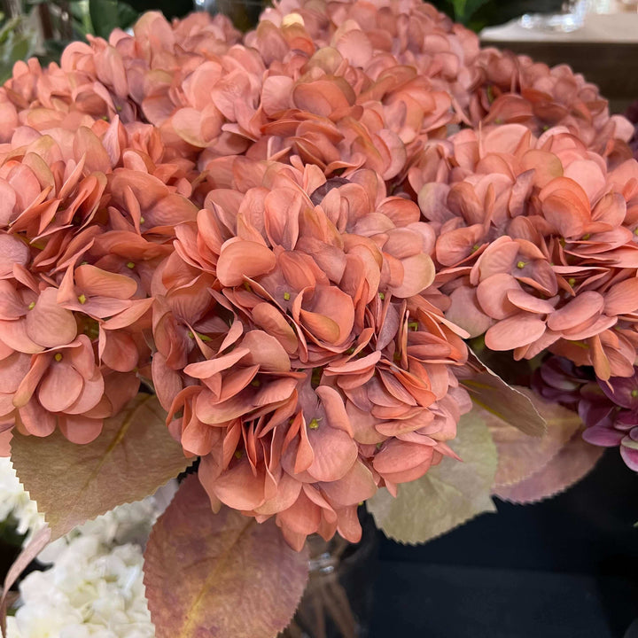 dusty pink hydrangeas