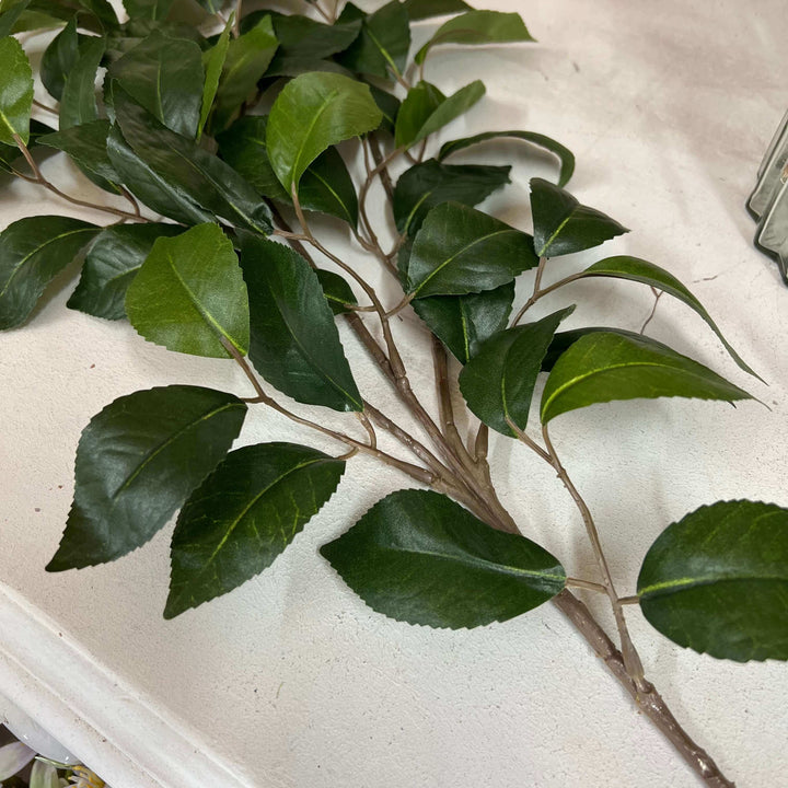 fake camellia stem