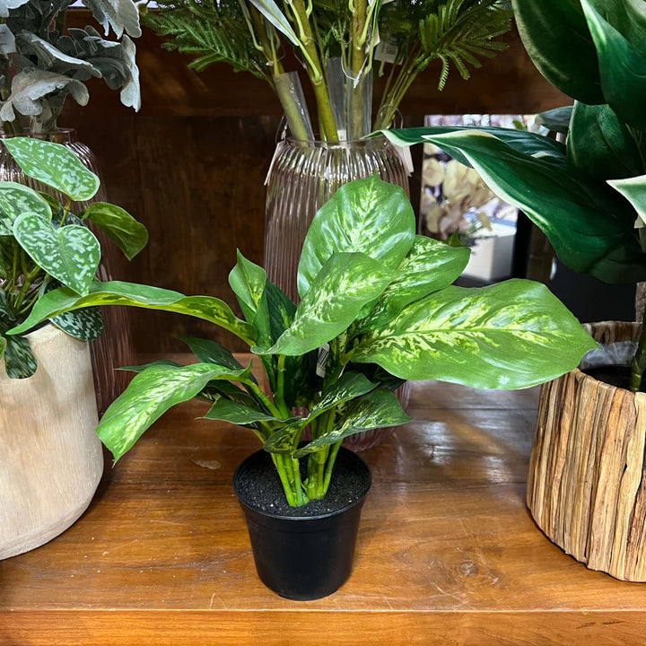 fake cane plant in a black pot