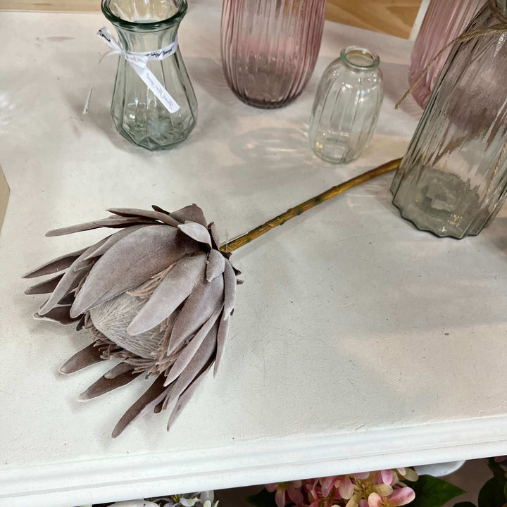 fake dried king protea