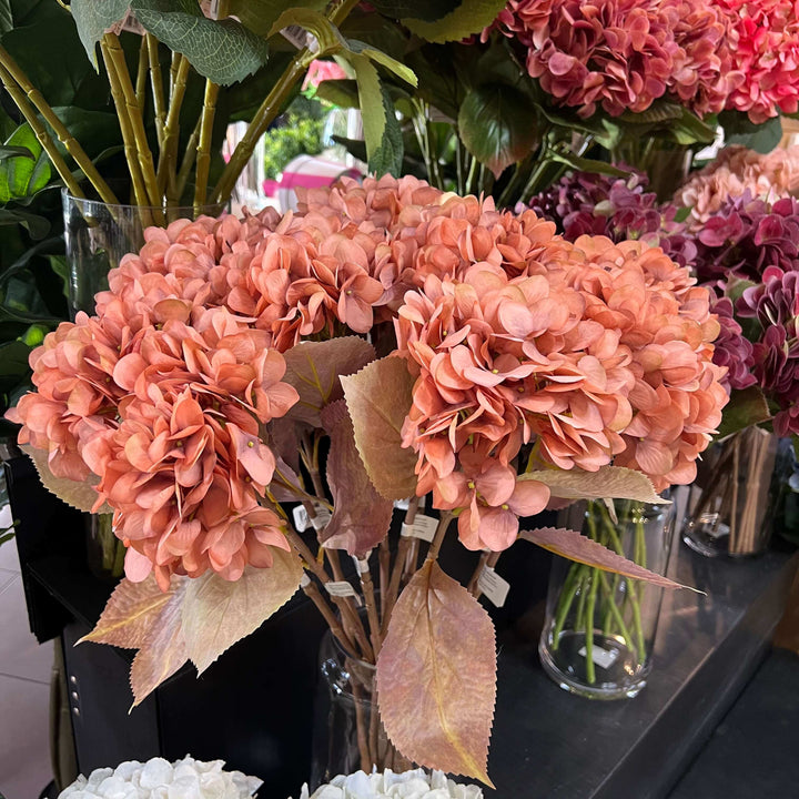 hydrangea buch of flowers