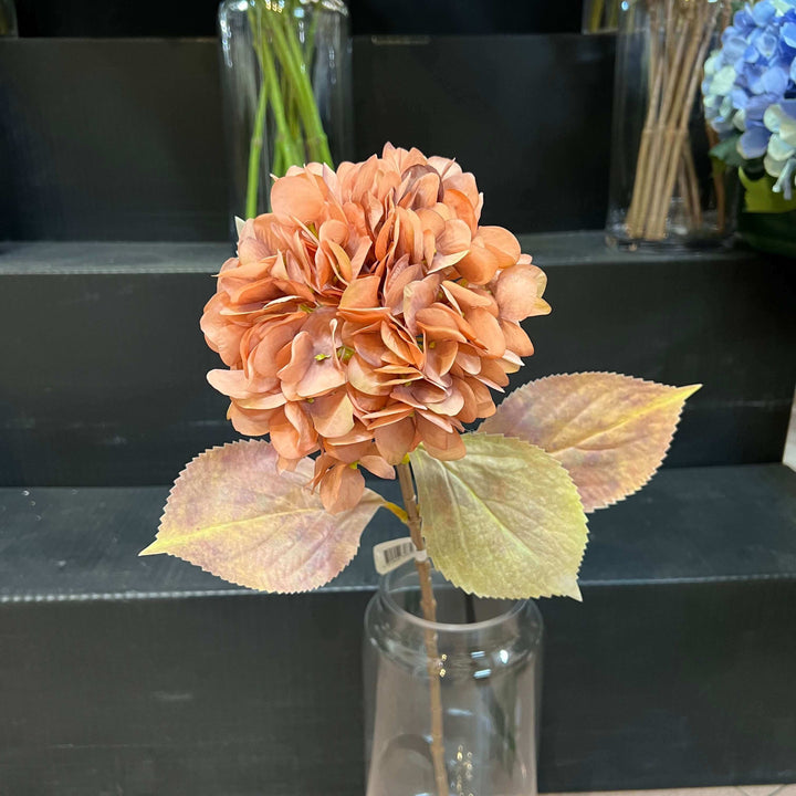 hydrangea flowers and leaves