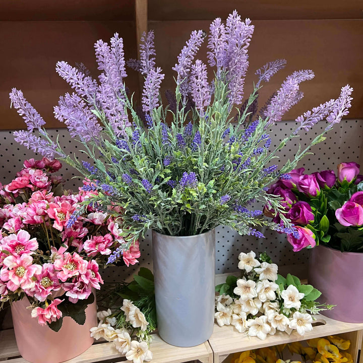 lavender flowers potted