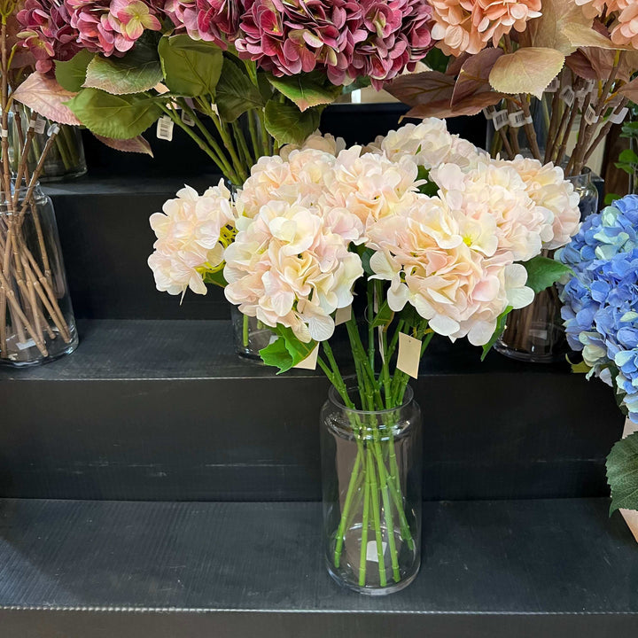 light pink hydrangea flowers