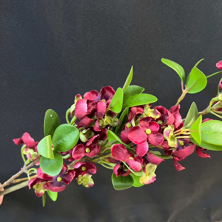 lilac flower stem