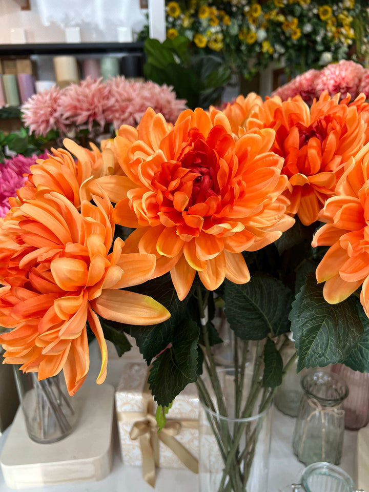 orange dahlia flowers