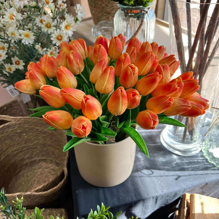 orange tulips in setting