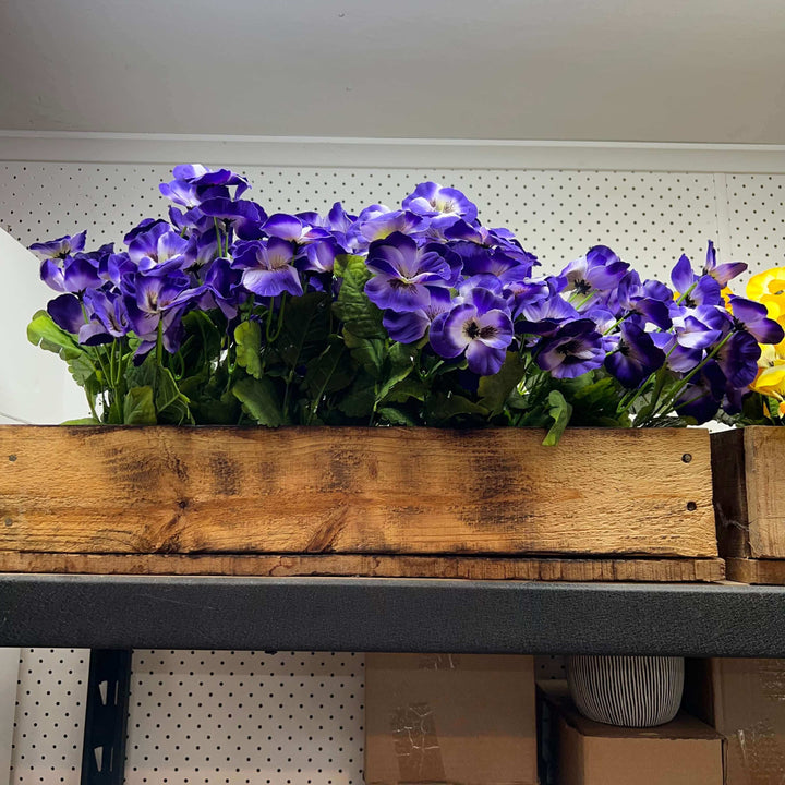 pansies in flower box