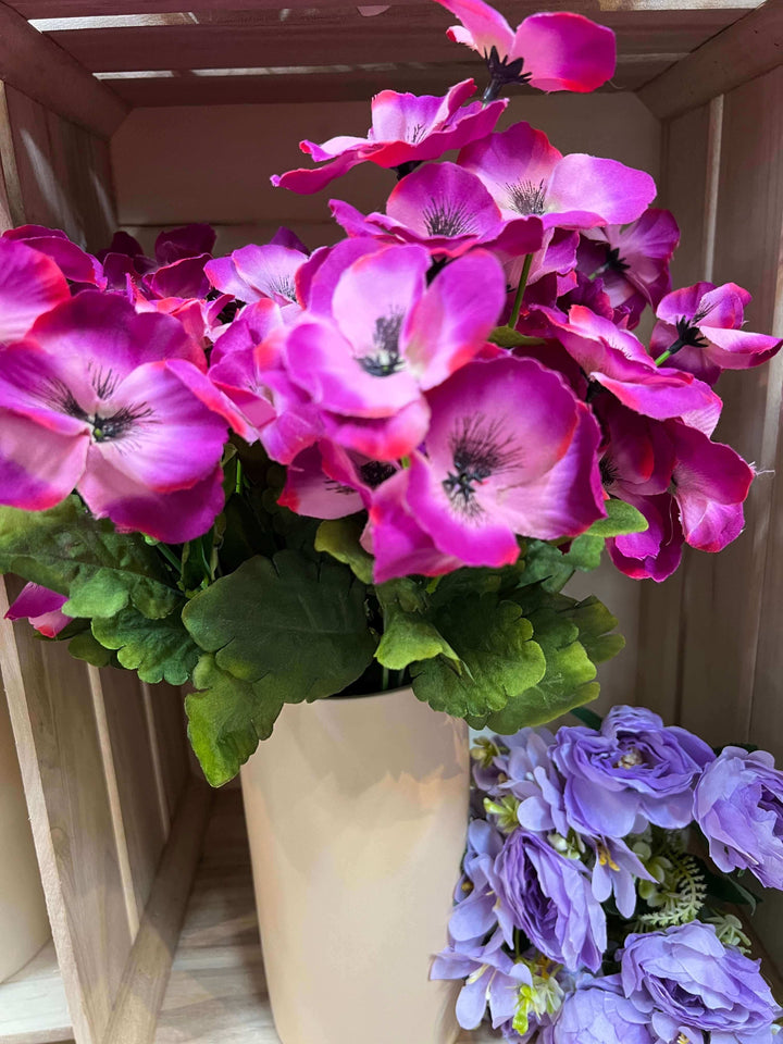 purple pansy flower bunch