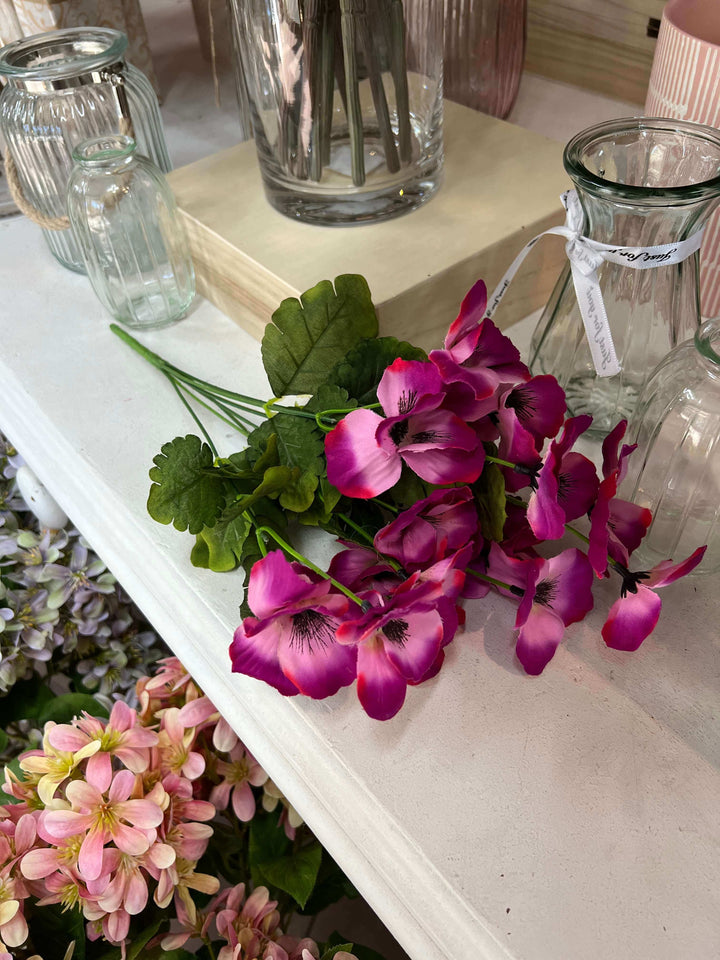 purple pansy flowers