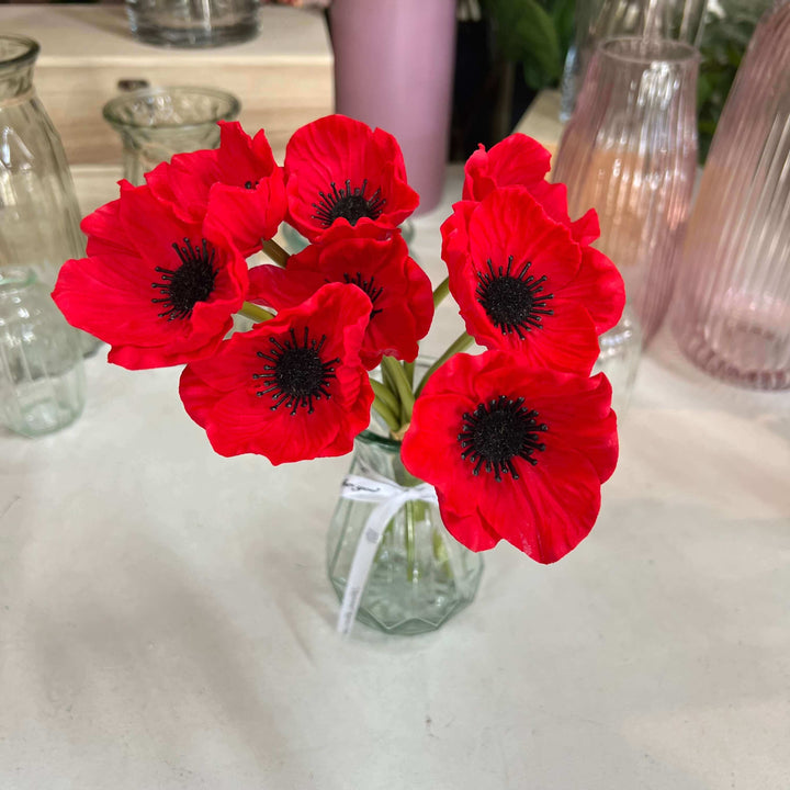 red poppy flowers