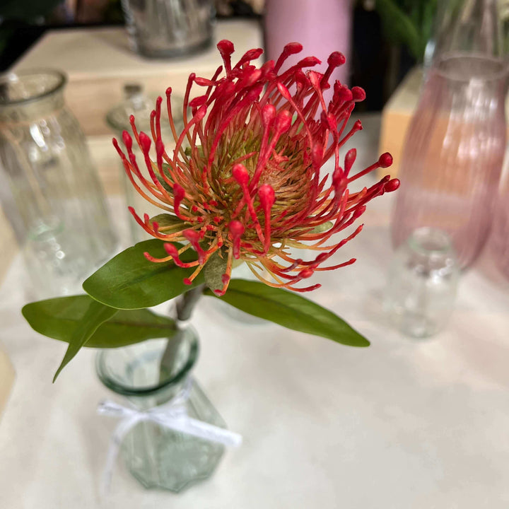 red protea flower