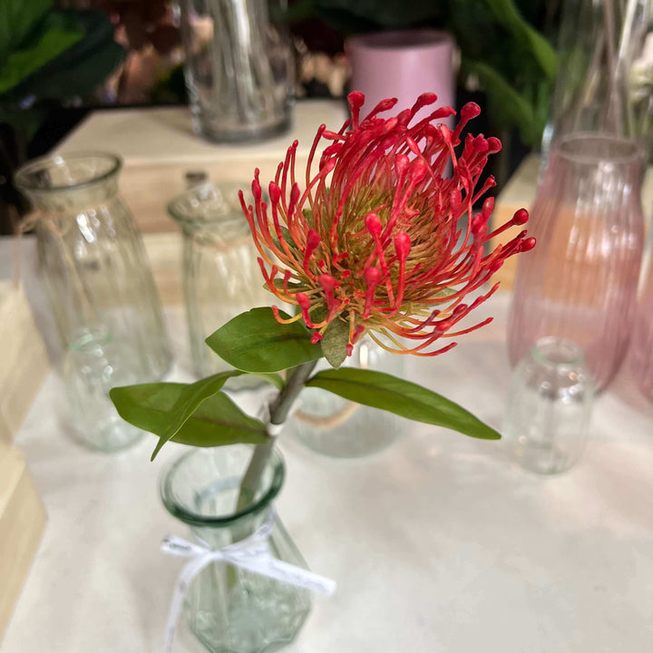 red protea stem