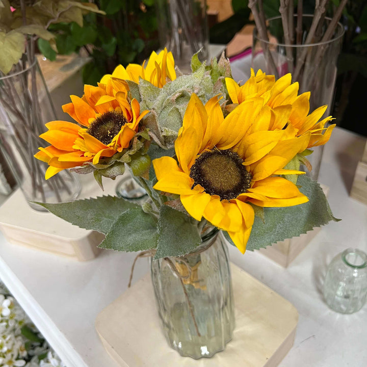 sunflower bundle