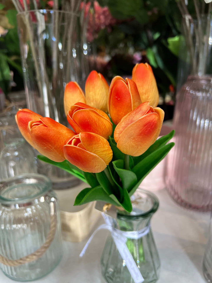 tulip flowers