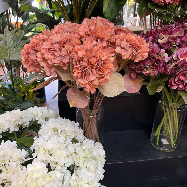 vase of hydrangeas