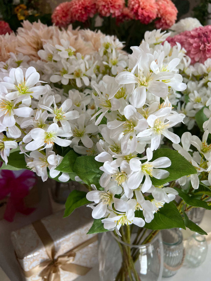 white lilac flowers