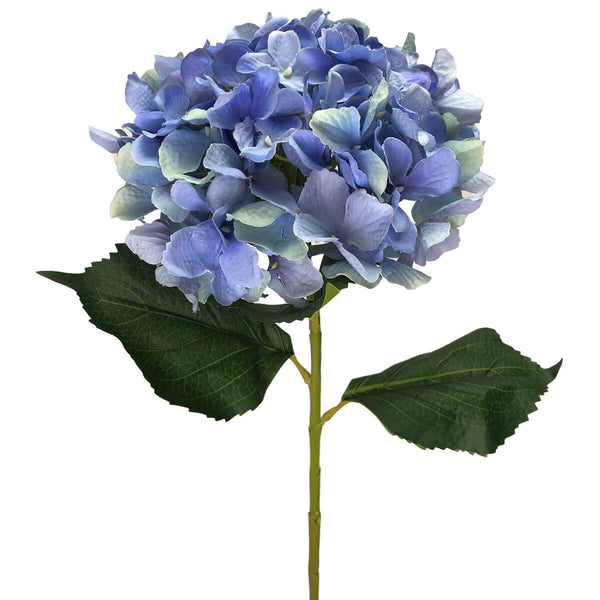 Blue Hydrangea 80cm