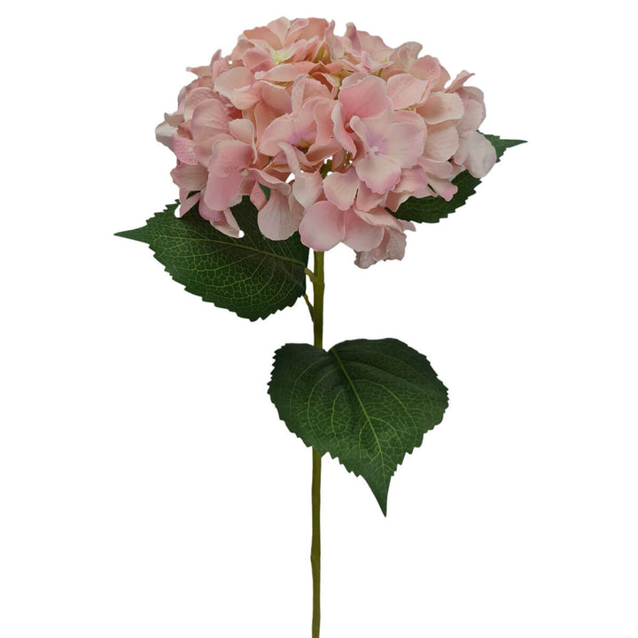 Blush Hydrangea 80cm